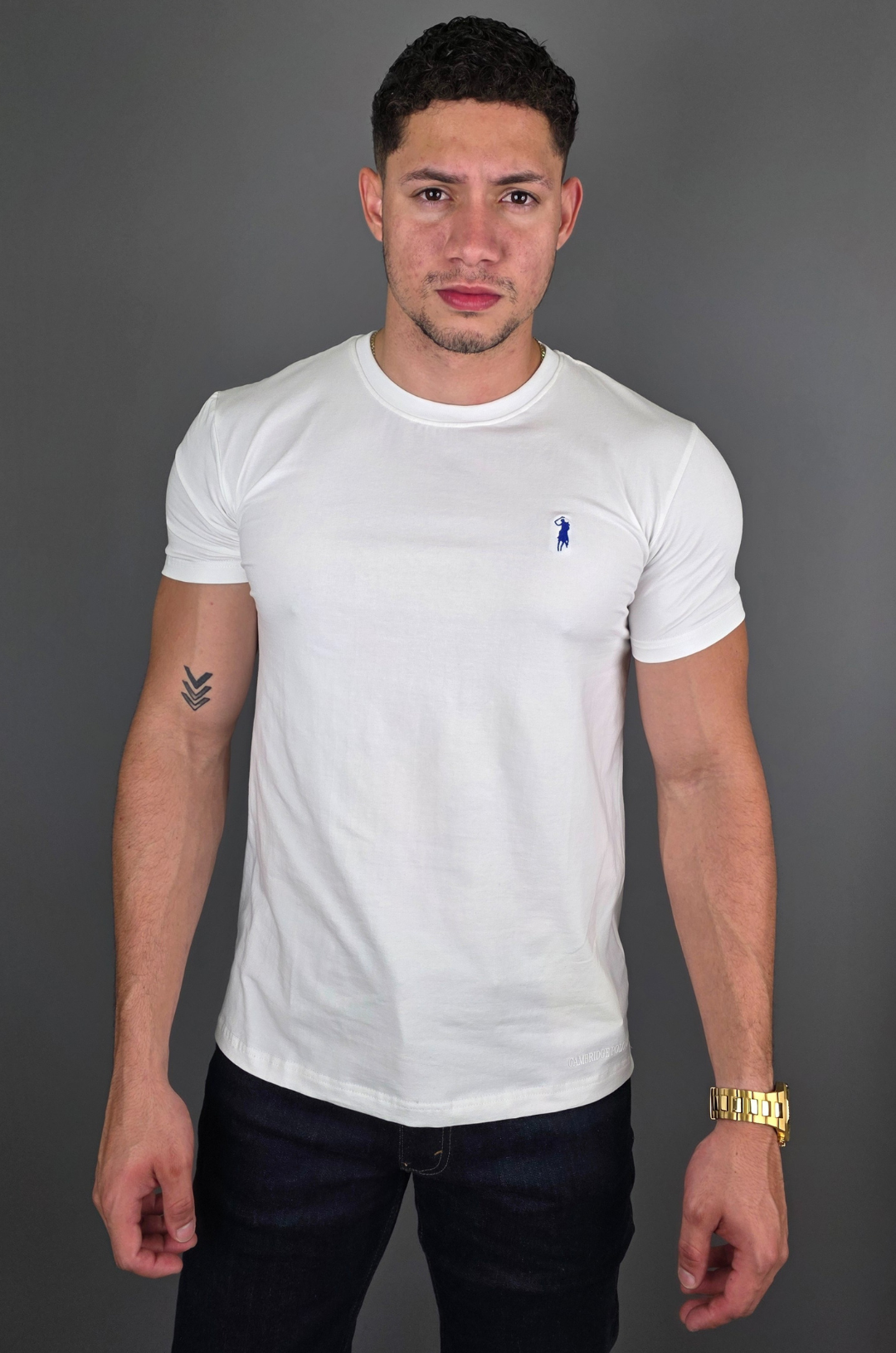 CAMISETA CAMBRIDGE POLO BLANCA PARA CABALLERO