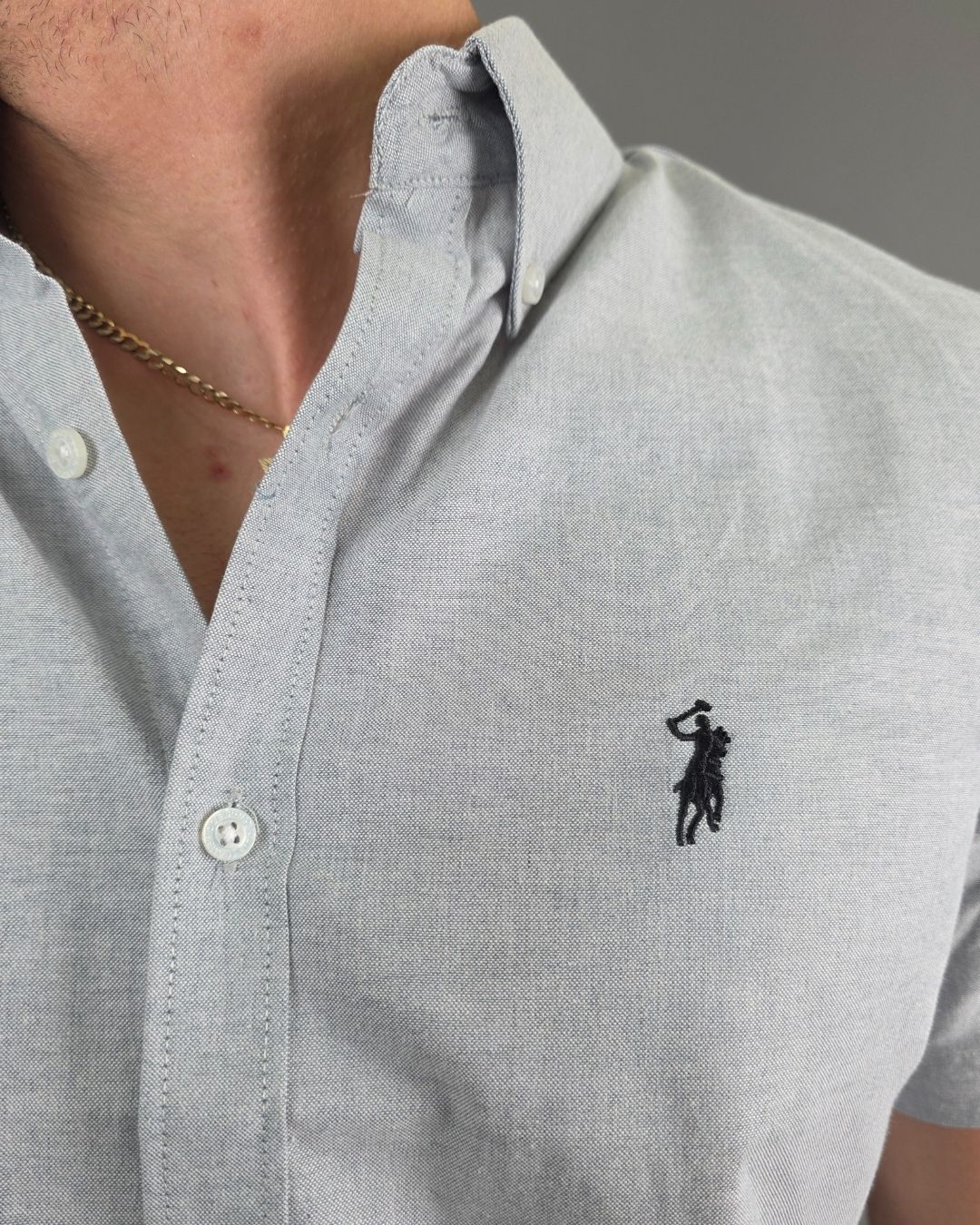 CAMISA GRIS CAMBRIDGE POLO DE HOMBRE