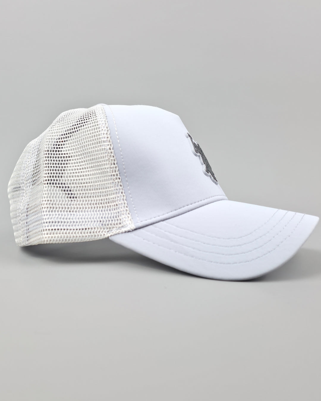 GORRA U.S POLO ASSN GRIS