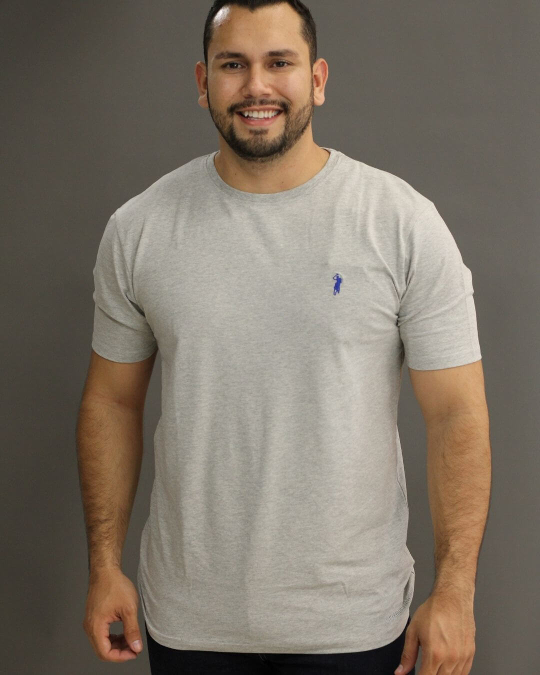 CAMISETA CAMBRIDGE POLO GRIS