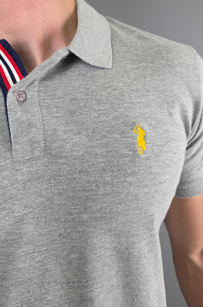 POLO CAMBRIDGE PÓLO GRIS CLARO