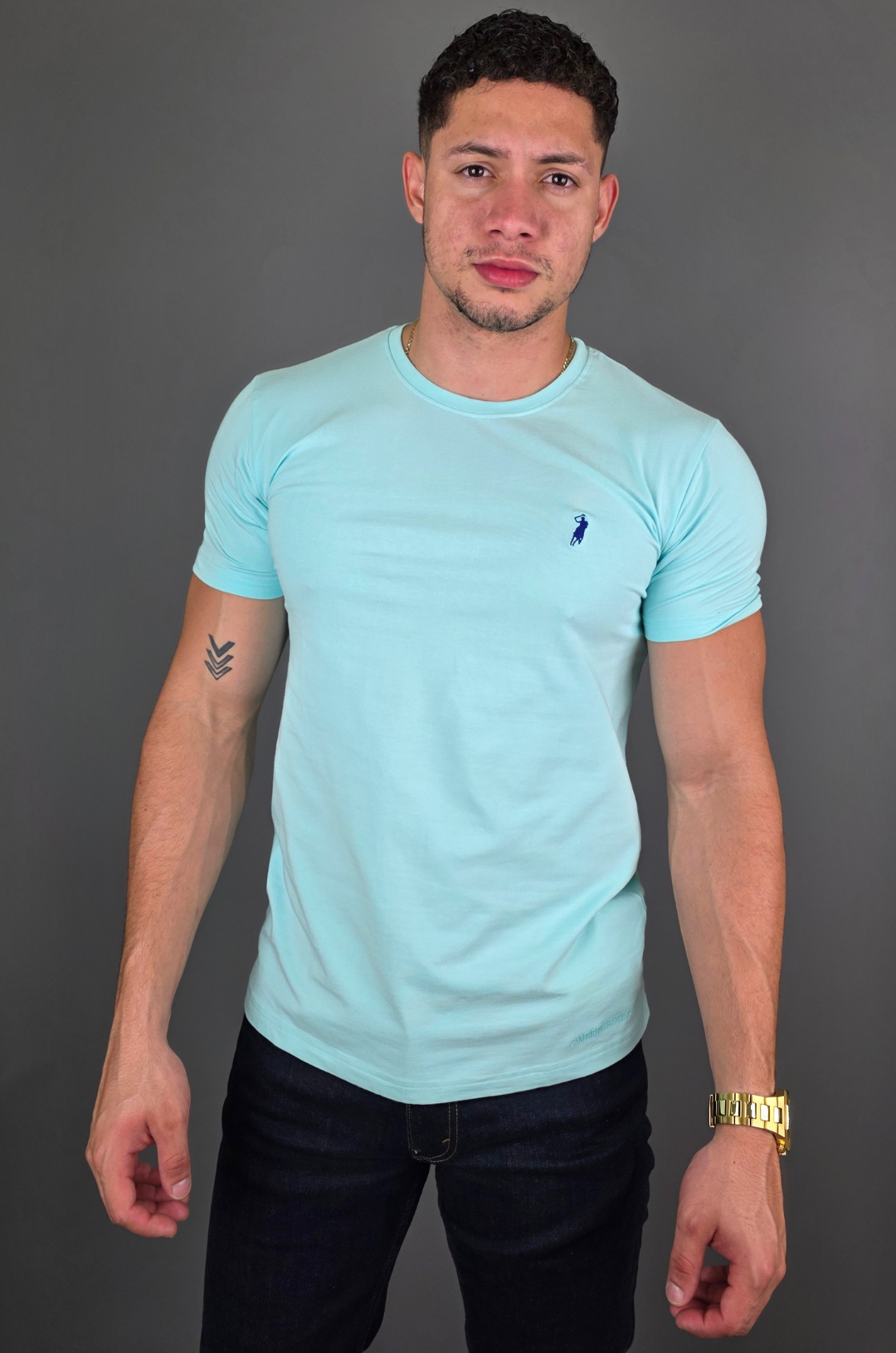 CAMISETA CAMBRIDGE POLO MENTA PARA CABALLERO