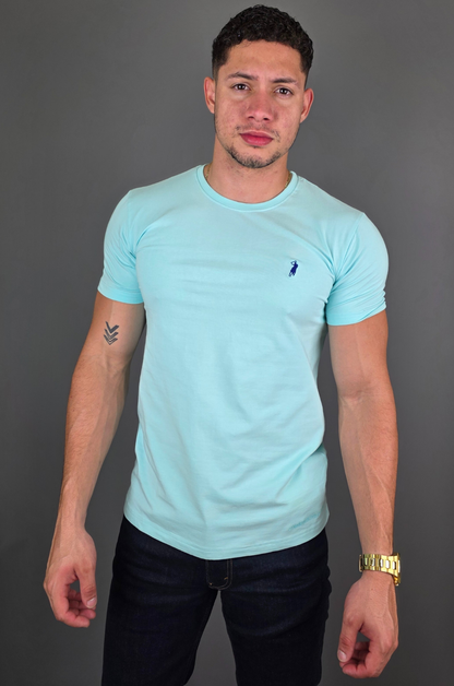 CAMISETA CAMBRIDGE POLO MENTA PARA CABALLERO