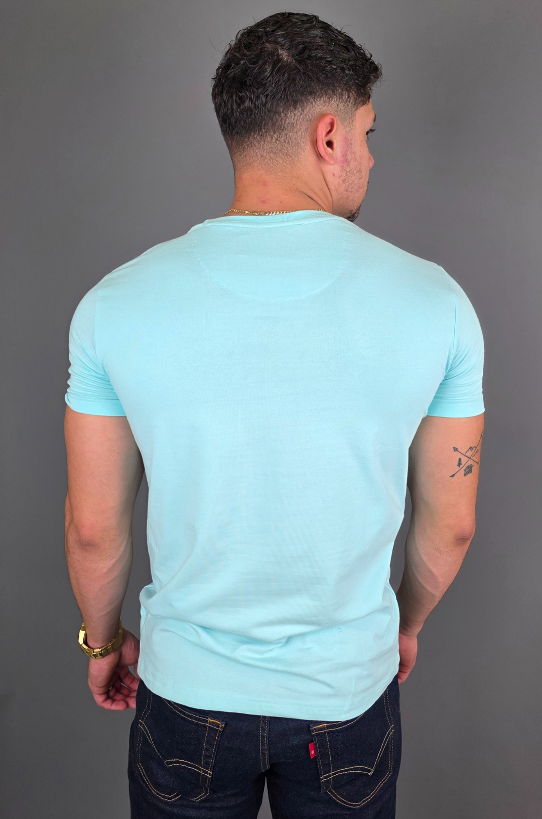 CAMISETA CAMBRIDGE POLO MENTA PARA CABALLERO