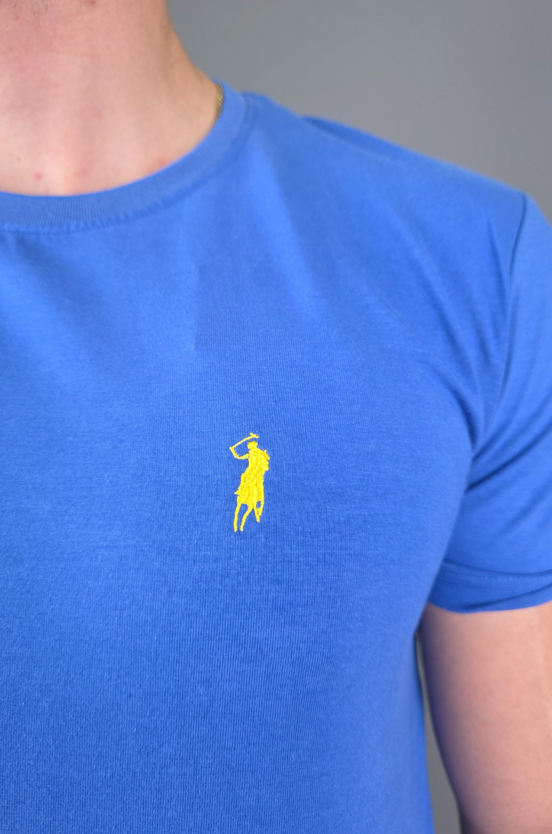 CAMISETA CAMBRIDGE POLO AZUL PARA CABALLERO