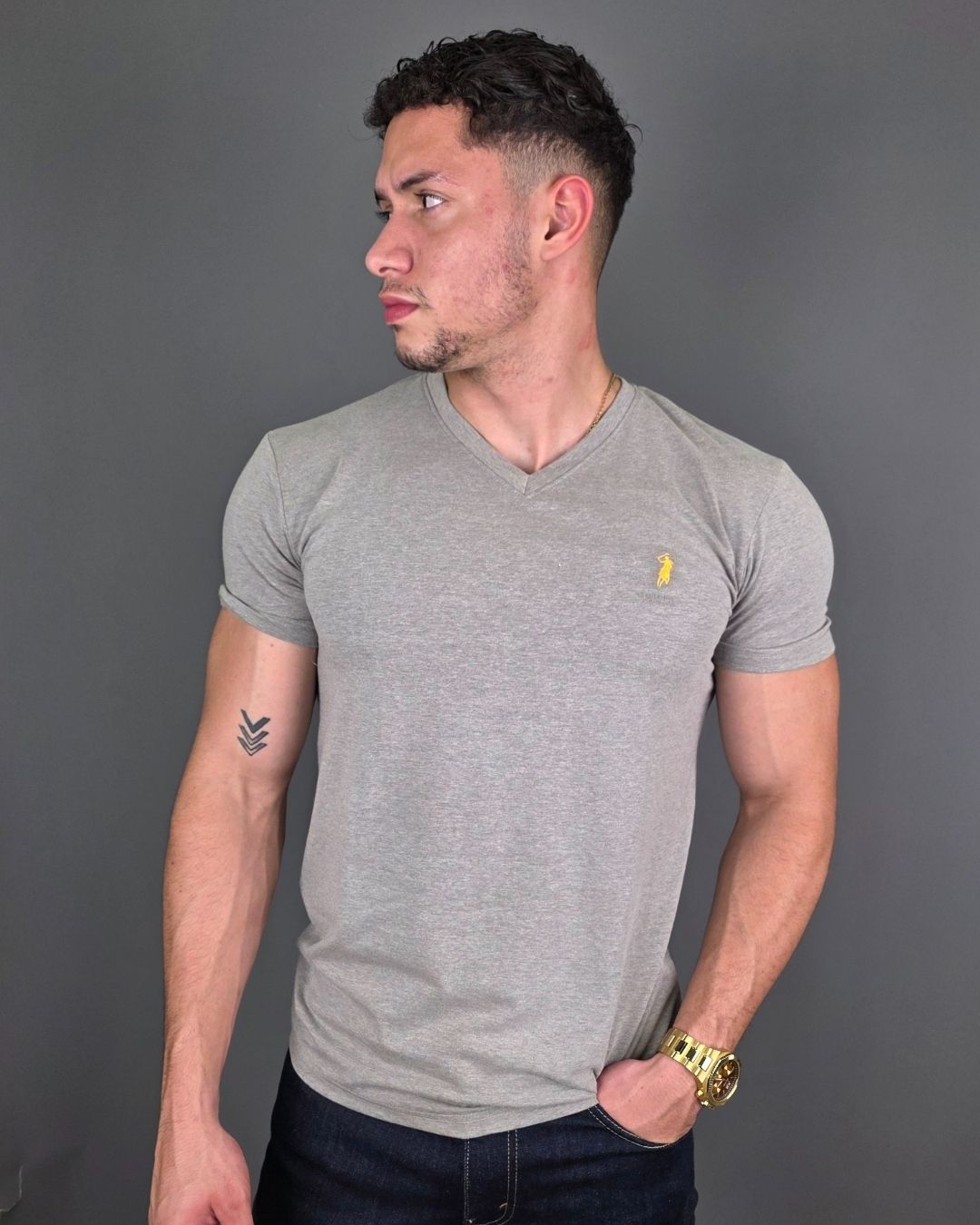 CAMISETA CAMBRIDGE POLO GRIS PARA CABALLERO