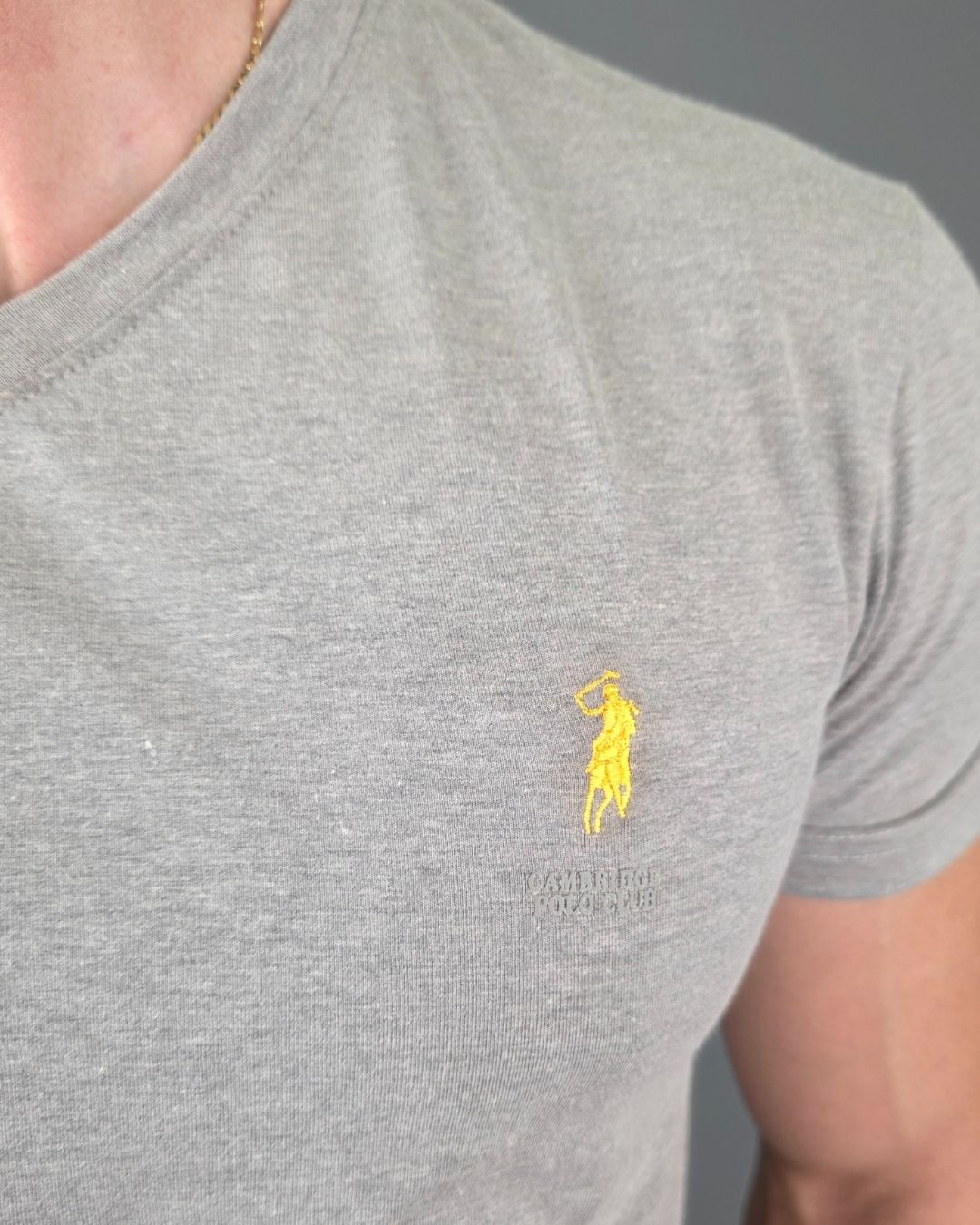 CAMISETA CAMBRIDGE POLO GRIS PARA CABALLERO