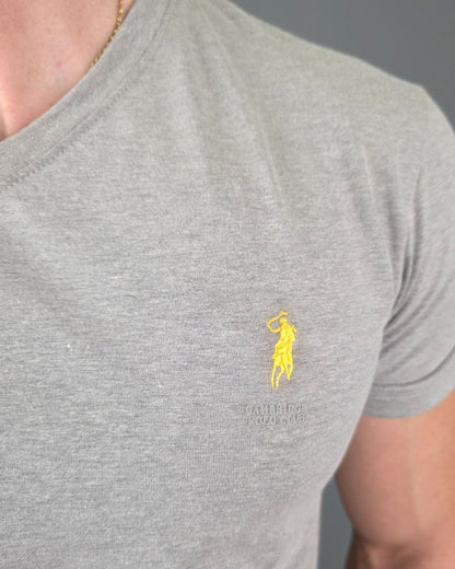 CAMISETA CAMBRIDGE POLO GRIS PARA CABALLERO