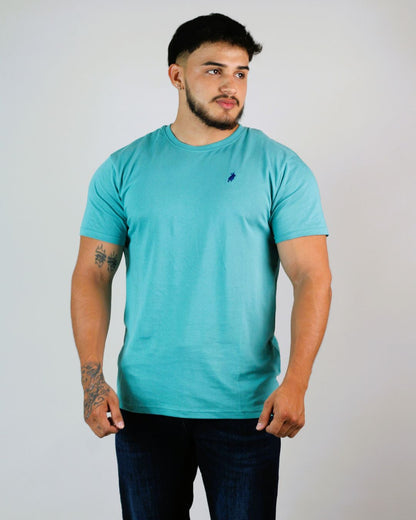 CAMISETA CAMBRIDGE POLO CABALLERO