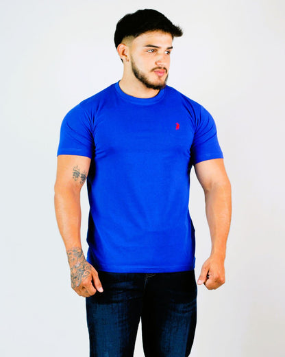 CAMISETA CAMBRIDGE POLO CABALLERO