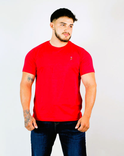 CAMISETA CAMBRIDGE POLO CABALLERO