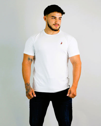CAMISETA CAMBRIDGE POLO CABALLERO
