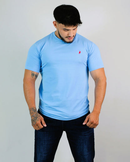 CAMISETA CAMBRIDGE POLO CABALLERO