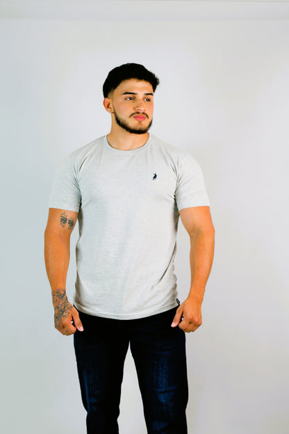 CAMISETA CAMBRIDGE POLO CABALLERO