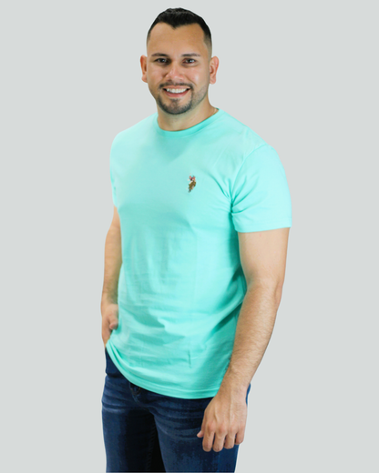 CAMISETA US POLO